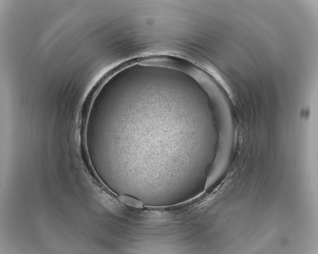 X0000091001124200708091534