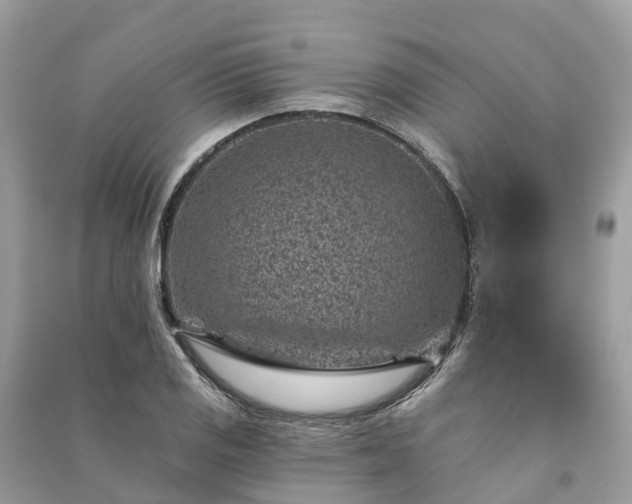 X0000091001125200708091534