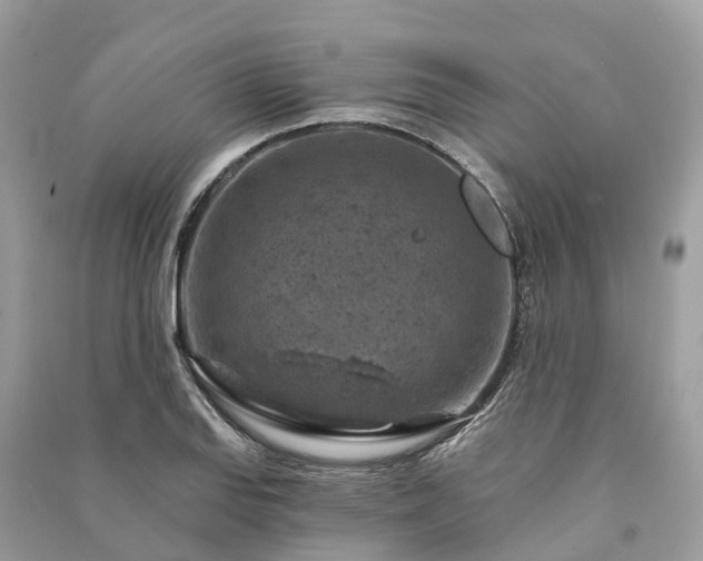 X0000091001127200708091534