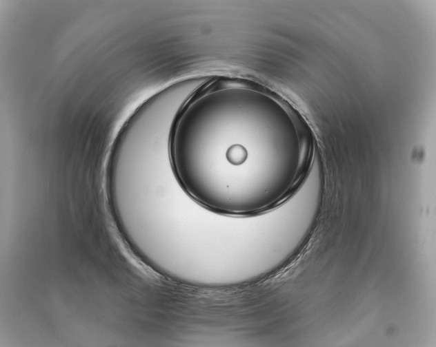 X0000091001128200708091534
