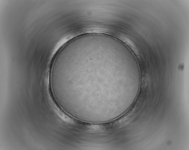X0000091001130200708091534