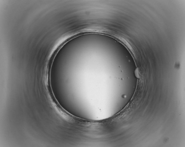 X0000091001131200708091534