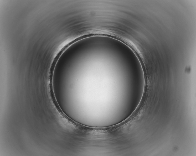 X0000091001133200708091534