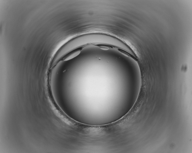 X0000091001134200708091534