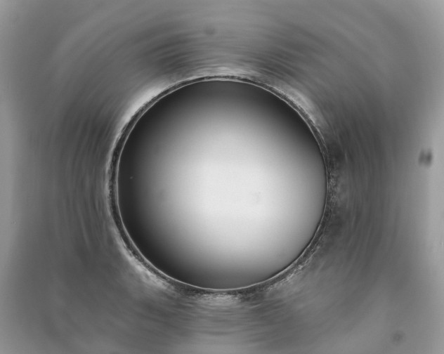 X0000091001135200708091534