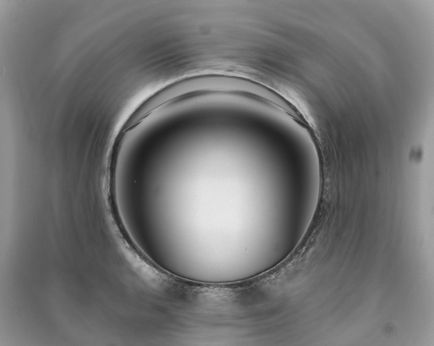 X0000091001136200708091534