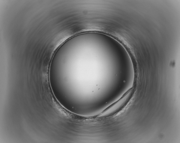 X0000091001137200708091534