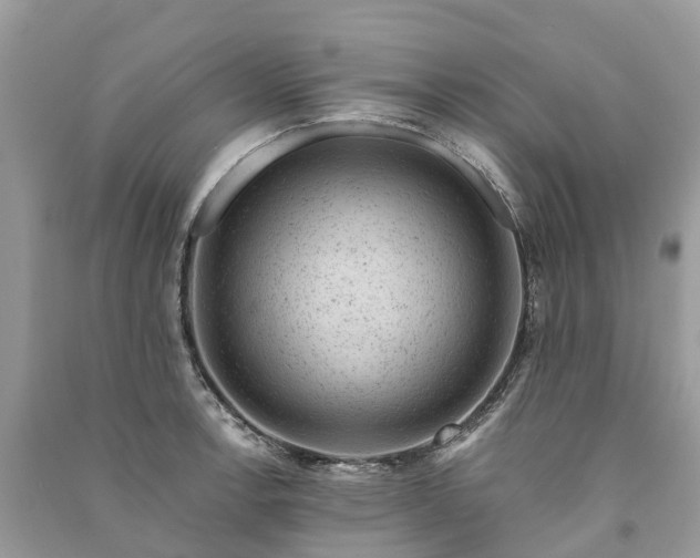 X0000091001138200708091534