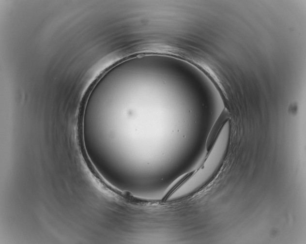 X0000091001139200708091534