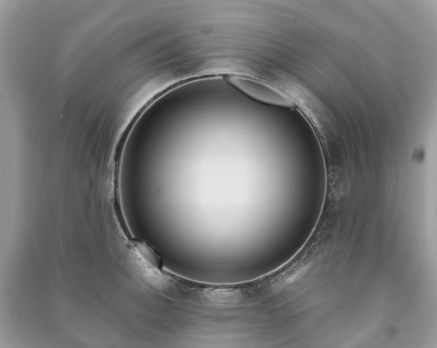 X0000091001140200708091534