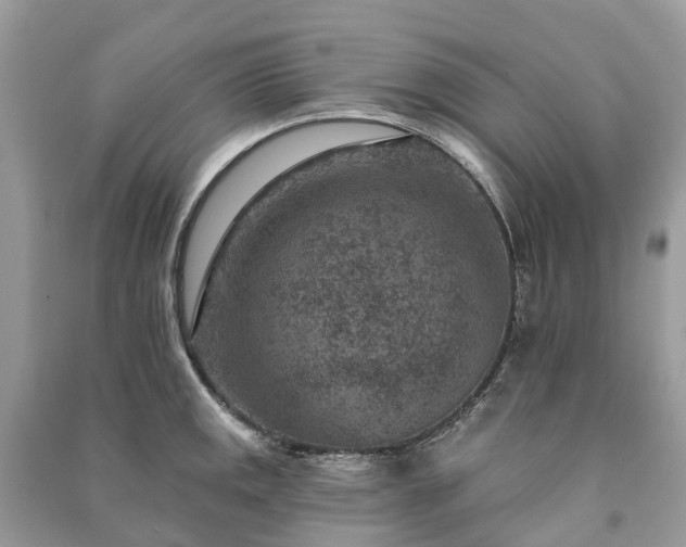 X0000091001141200708091534