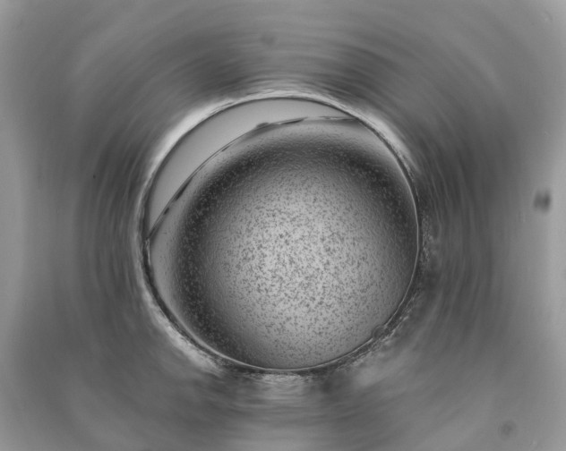 X0000091001142200708091534