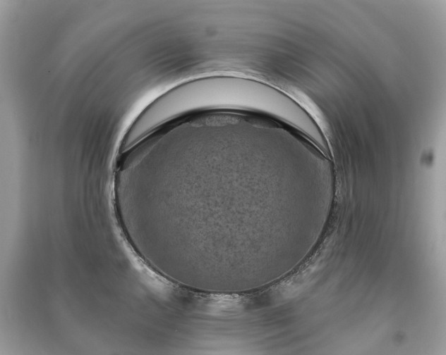 X0000091001144200708091534