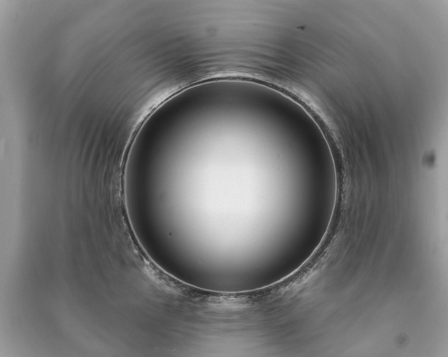 X0000091001145200708091534