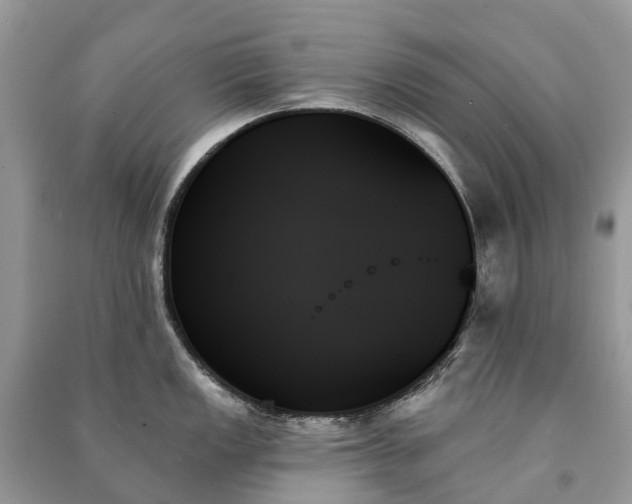 X0000091001149200708091534