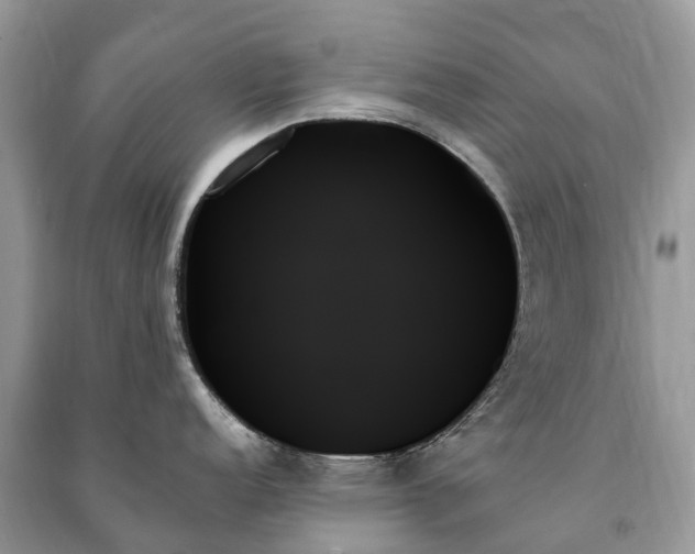 X0000091001152200708091534