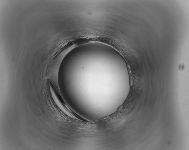 X0000091001153200708091533