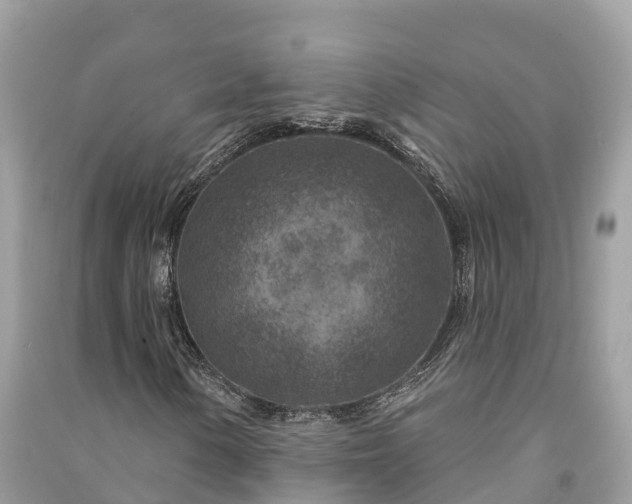X0000091001154200708091533