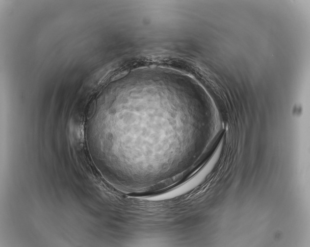 X0000091001155200708091533