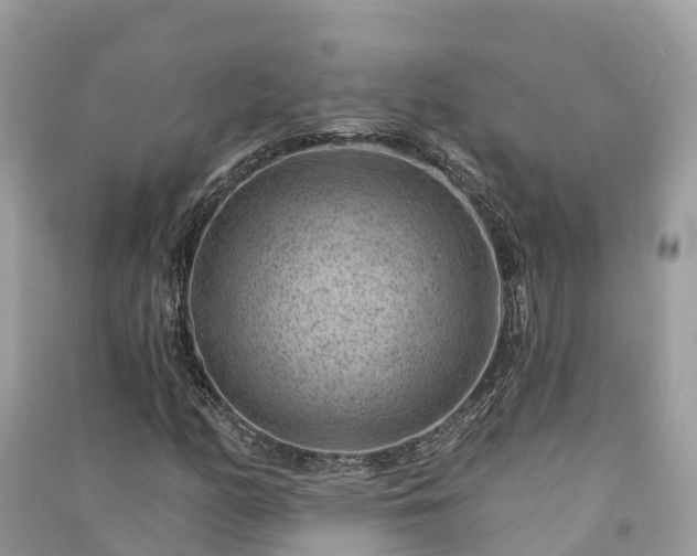 X0000091001158200708091533