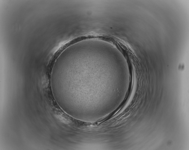 X0000091001160200708091533