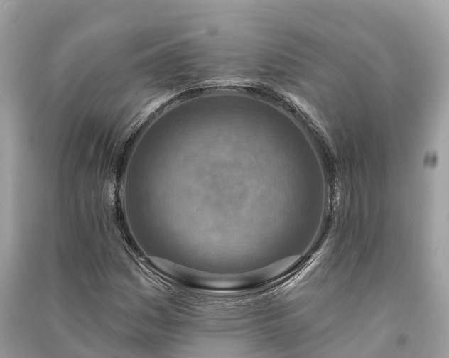 X0000091001161200708091533