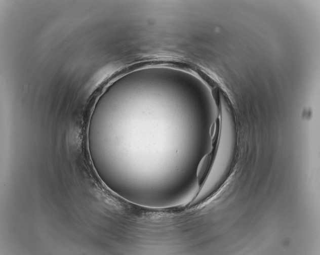 X0000091001163200708091533