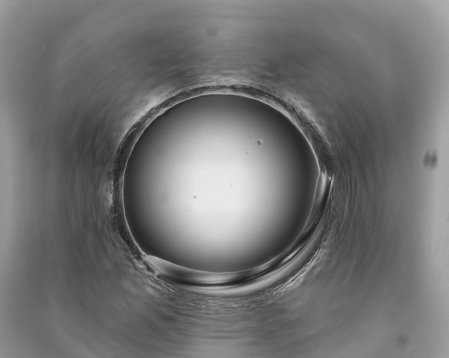 X0000091001165200708091533