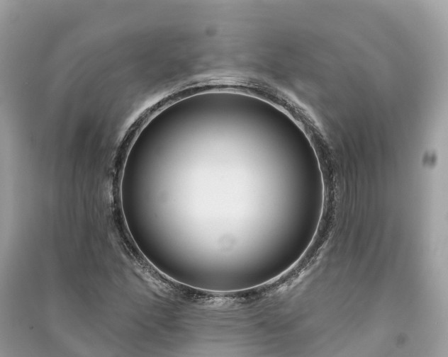 X0000091001166200708091533