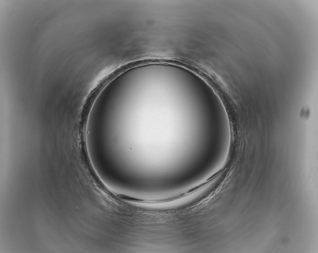 X0000091001168200708091533