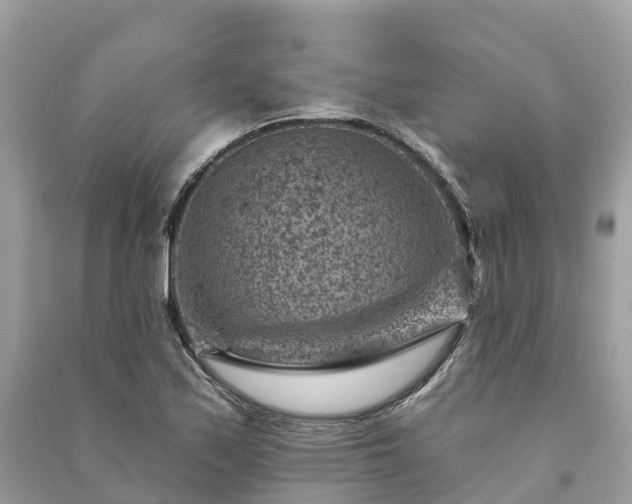 X0000091001171200708091533