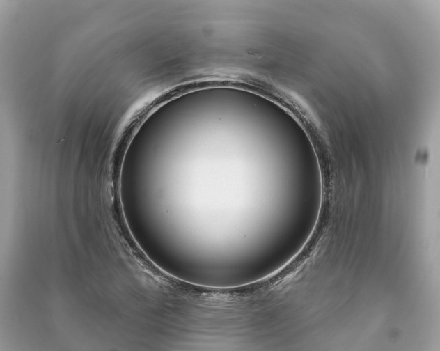 X0000091001172200708091533