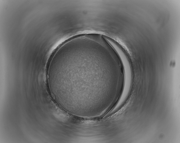 X0000091001173200708091533