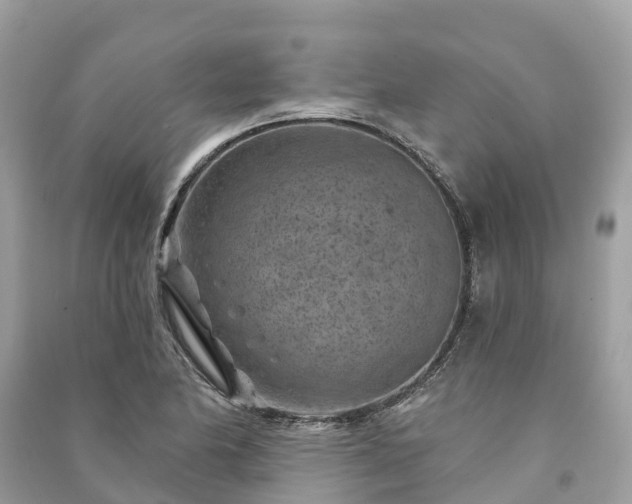 X0000091001174200708091533