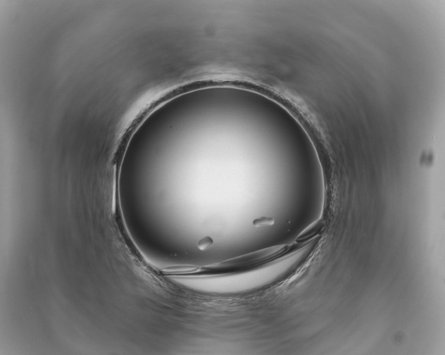 X0000091001175200708091533