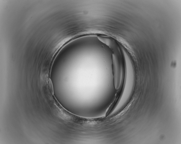 X0000091001177200708091533