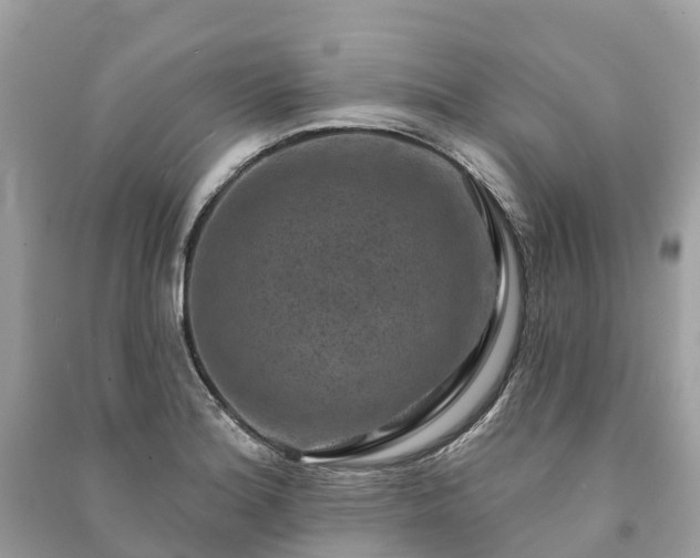 X0000091001180200708091533