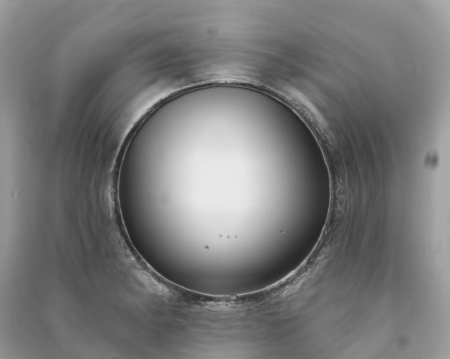 X0000091001182200708091533