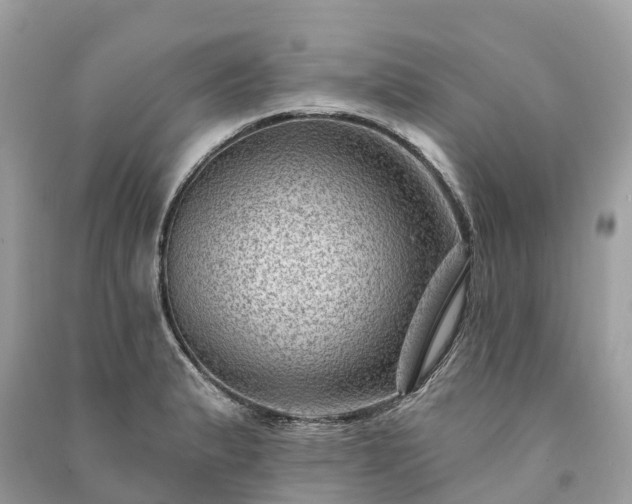 X0000091001183200708091533