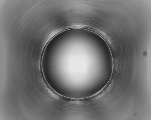 X0000091001186200708091533