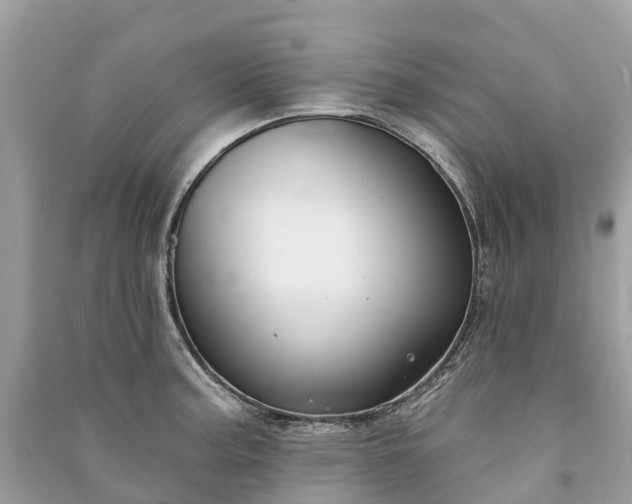 X0000091001187200708091533