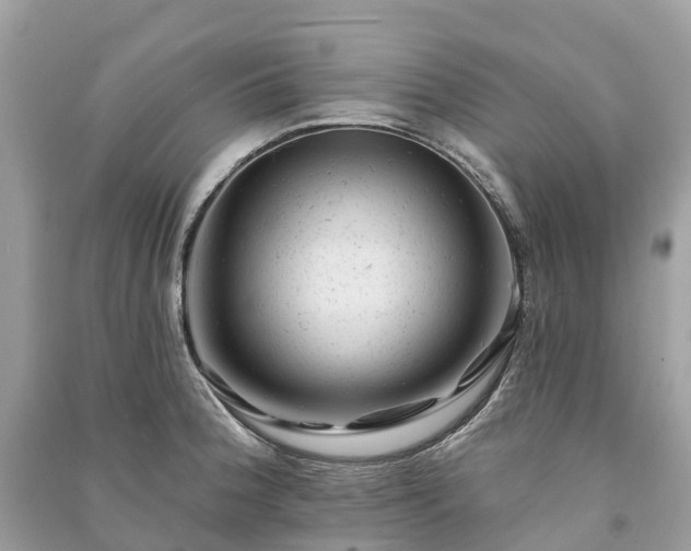 X0000091001188200708091533