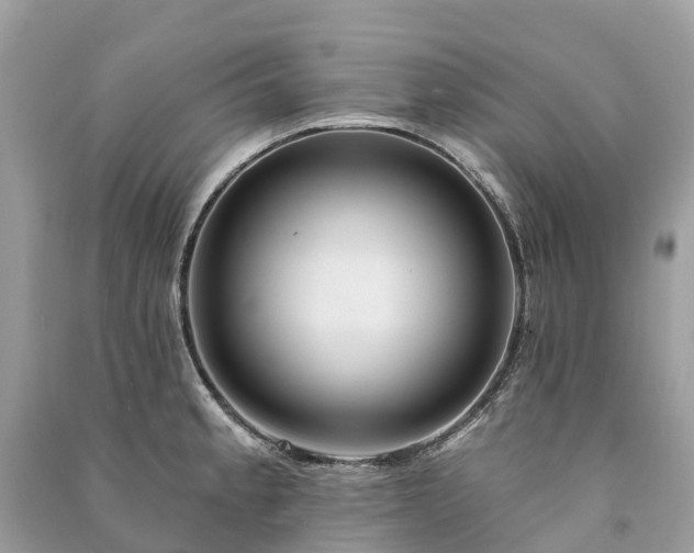 X0000091001189200708091533