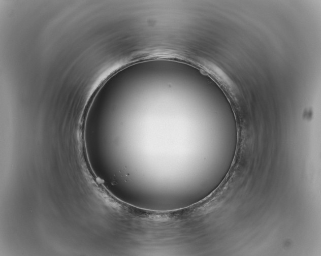 X0000091001190200708091533