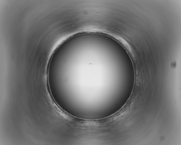 X0000091001191200708091533