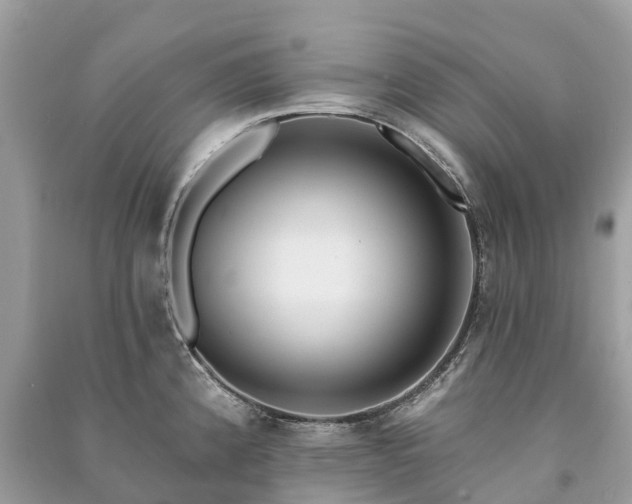 X0000091001192200708091533