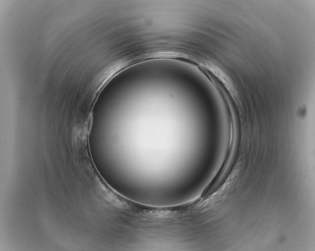 X0000091001193200708091533