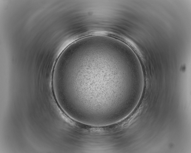 X0000091001194200708091533