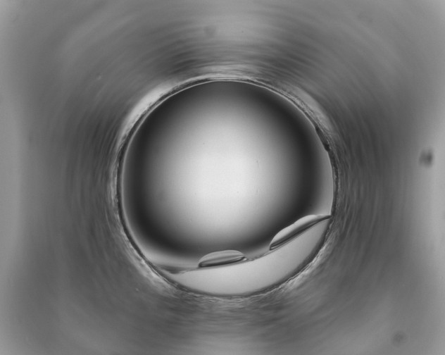 X0000091001196200708091533