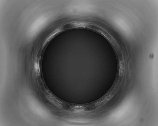 X0000091001198200708091533
